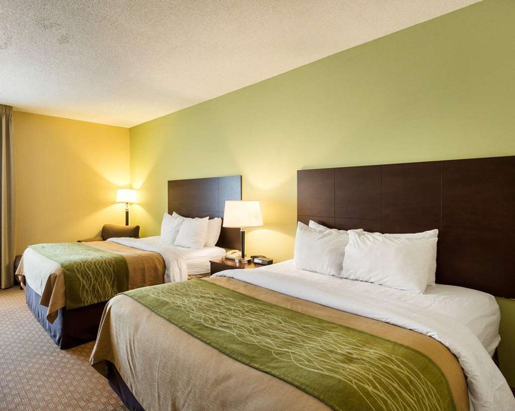 Comfort Inn Horn Lake Room photo